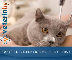 Hôpital vétérinaire à Esténos