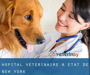 Hôpital vétérinaire à État de New York