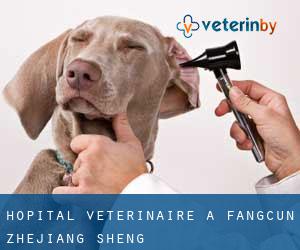 Hôpital vétérinaire à Fangcun (Zhejiang Sheng)