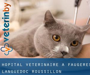 Hôpital vétérinaire à Faugères (Languedoc-Roussillon)