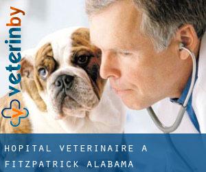 Hôpital vétérinaire à Fitzpatrick (Alabama)