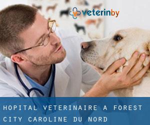 Hôpital vétérinaire à Forest City (Caroline du Nord)