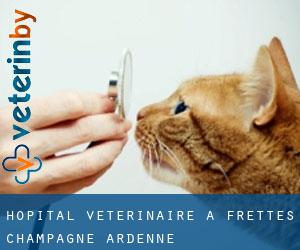 Hôpital vétérinaire à Frettes (Champagne-Ardenne)