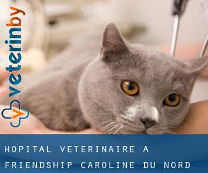 Hôpital vétérinaire à Friendship (Caroline du Nord)