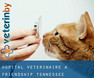 Hôpital vétérinaire à Friendship (Tennessee)