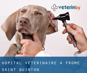 Hôpital vétérinaire à Frome Saint Quinton
