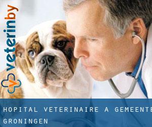 Hôpital vétérinaire à Gemeente Groningen Hôpital vétérinaire à Gemeente Groningen