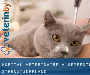 Hôpital vétérinaire à Gemeente Steenwijkerland