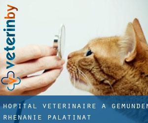 Hôpital vétérinaire à Gemünden (Rhénanie-Palatinat)