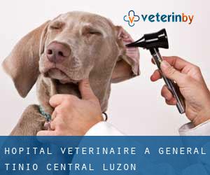 Hôpital vétérinaire à General Tinio (Central Luzon)