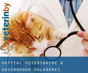 Hôpital vétérinaire à Governador Valadares