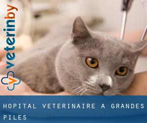 Hôpital vétérinaire à Grandes-Piles