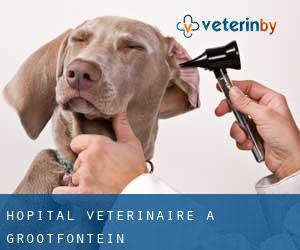 Hôpital vétérinaire à Grootfontein Hôpital vétérinaire à Grootfontein