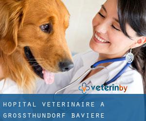 Hôpital vétérinaire à Grossthundorf (Bavière)