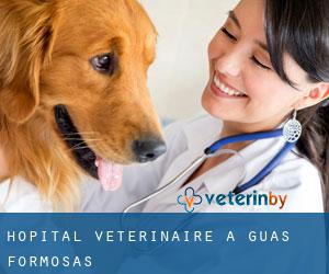Hôpital vétérinaire à Águas Formosas