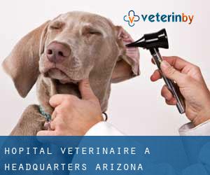 Hôpital vétérinaire à Headquarters (Arizona)