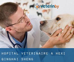 Hôpital vétérinaire à Hexi (Qinghai Sheng)