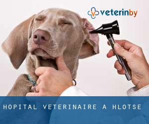 Hôpital vétérinaire à Hlotse