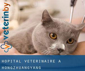 Hôpital vétérinaire à Hongzhuangyang