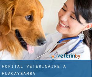 Hôpital vétérinaire à Huacaybamba