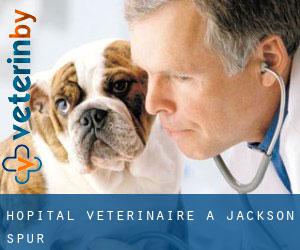 Hôpital vétérinaire à Jackson Spur