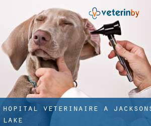Hôpital vétérinaire à Jacksons Lake