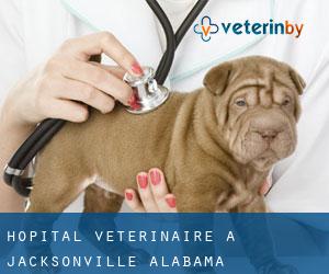 Hôpital vétérinaire à Jacksonville (Alabama)