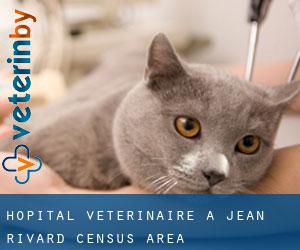 Hôpital vétérinaire à Jean-Rivard (census area)
