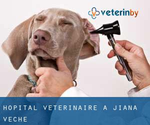 Hôpital vétérinaire à Jiana Veche