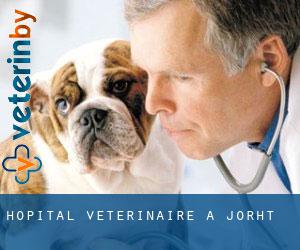 Hôpital vétérinaire à Jorhāt Hôpital vétérinaire à Jorhāt