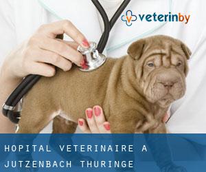 Hôpital vétérinaire à Jützenbach (Thuringe)