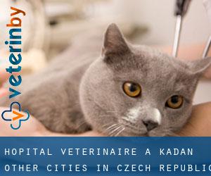 Hôpital vétérinaire à Kadaň (Other Cities in Czech Republic)