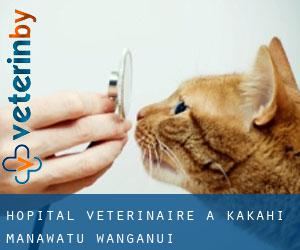 Hôpital vétérinaire à Kakahi (Manawatu-Wanganui)