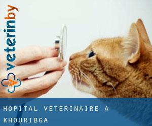 Hôpital vétérinaire à Khouribga