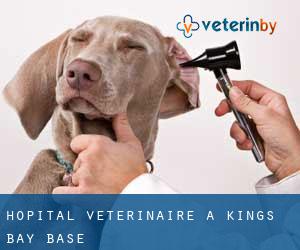 Hôpital vétérinaire à Kings Bay Base