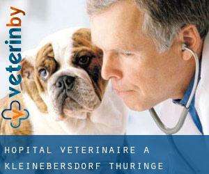 Hôpital vétérinaire à Kleinebersdorf (Thuringe)