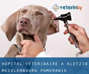 Hôpital vétérinaire à Kletzin (Mecklembourg-Poméranie)