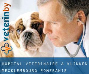 Hôpital vétérinaire à Klinken (Mecklembourg-Poméranie)