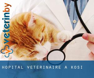 Hôpital vétérinaire à Kosi
