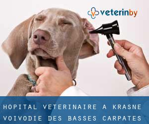Hôpital vétérinaire à Krasne (Voïvodie des Basses-Carpates)