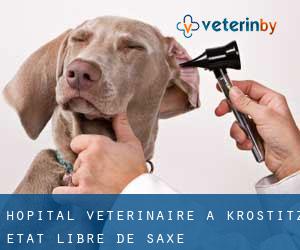 Hôpital vétérinaire à Krostitz (État libre de Saxe)
