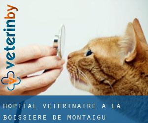 Hôpital vétérinaire à La Boissière-de-Montaigu