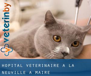 Hôpital vétérinaire à La Neuville-à-Maire