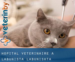 Hôpital vétérinaire à Labunista / Лабуништа