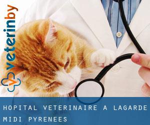 Hôpital vétérinaire à Lagarde (Midi-Pyrénées)