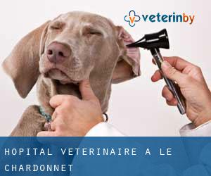 Hôpital vétérinaire à Le Chardonnet