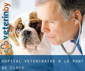 Hôpital vétérinaire à Le Pont-de-Claix