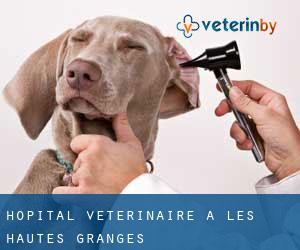 Hôpital vétérinaire à Les Hautes Granges