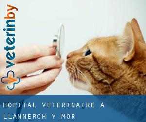 Hôpital vétérinaire à Llannerch-y-môr