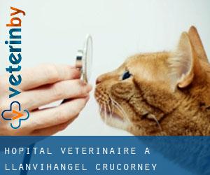 Hôpital vétérinaire à Llanvihangel Crucorney